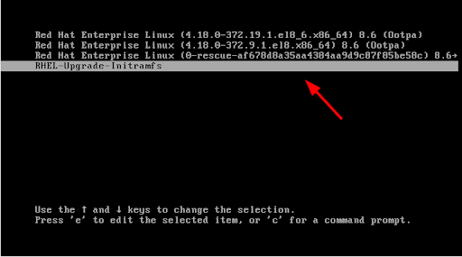screenshot of code