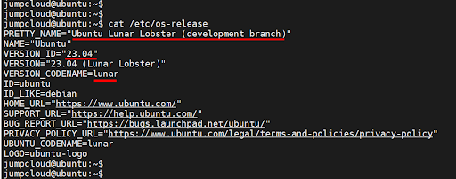 how to upgrade to ubuntu code screenshot