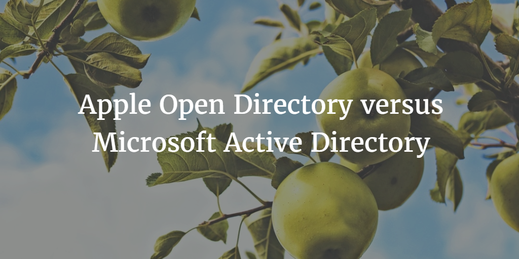 Apple Open Directory versus Microsoft Active Directory
