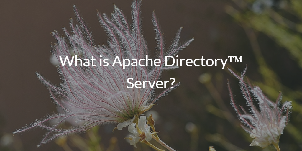 What is Apache Directory™ Server? – ApacheDS – JumpCloud