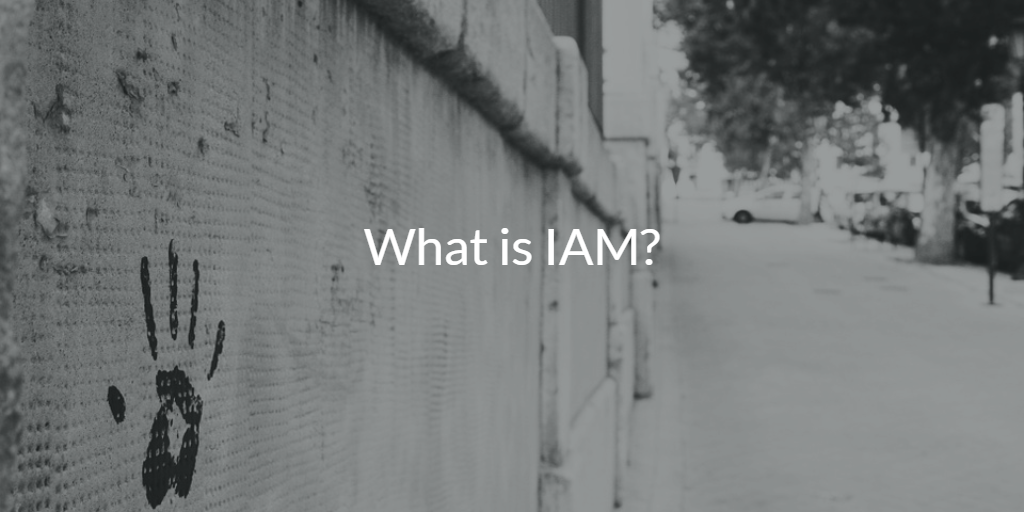 What is IAM? (Identity and Access Management)