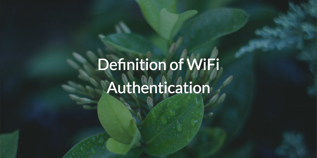 Definition of WiFi Authentication