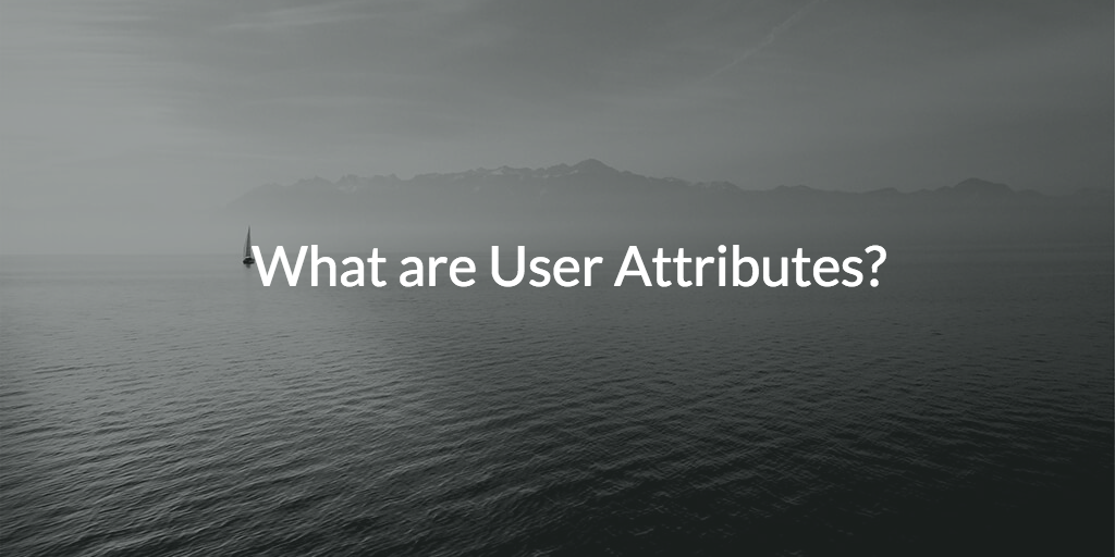 What are User Attributes?