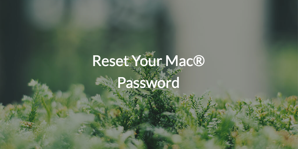 How to Reset Your Mac Password