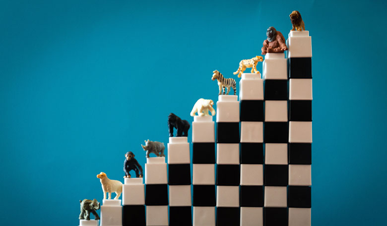 What Is Privileged Identity Management?
