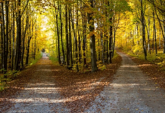 Single Sign-On (SSO) vs Active Directory (AD)