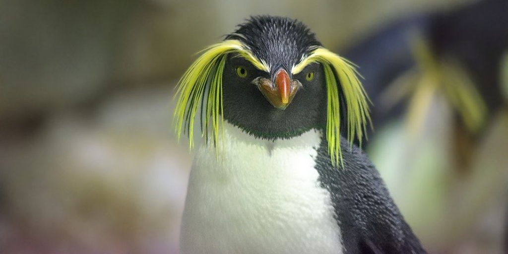 Linux User Management as a Service