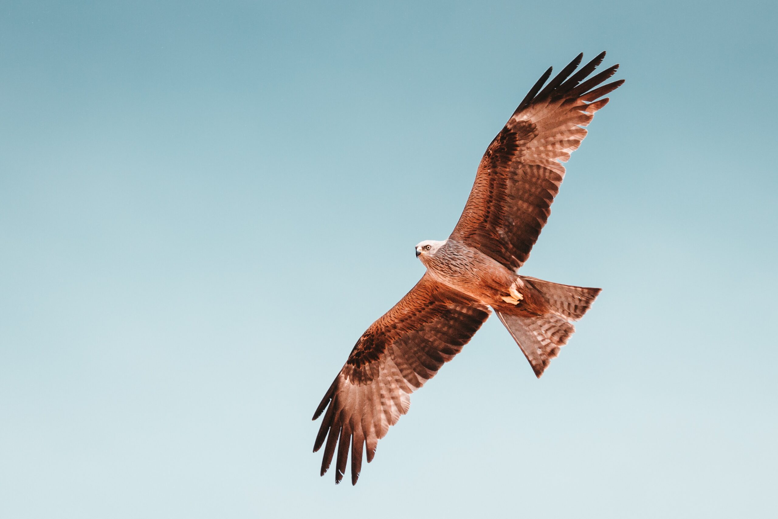 Migrating a Windows Machine from Active Directory®