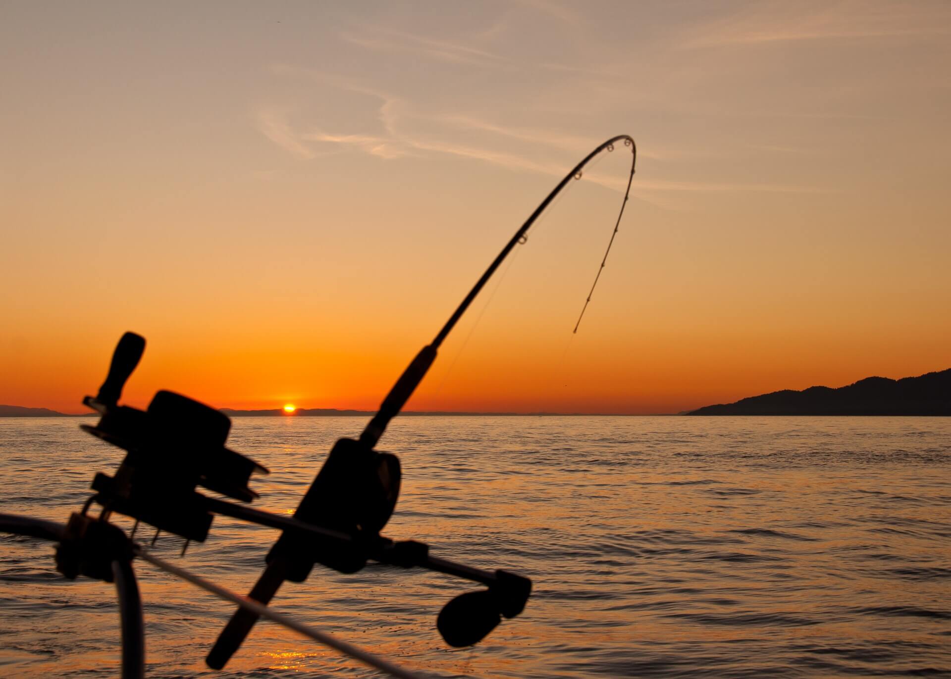 How to Prevent Phishing Damage Using SSO, MFA, and Policies