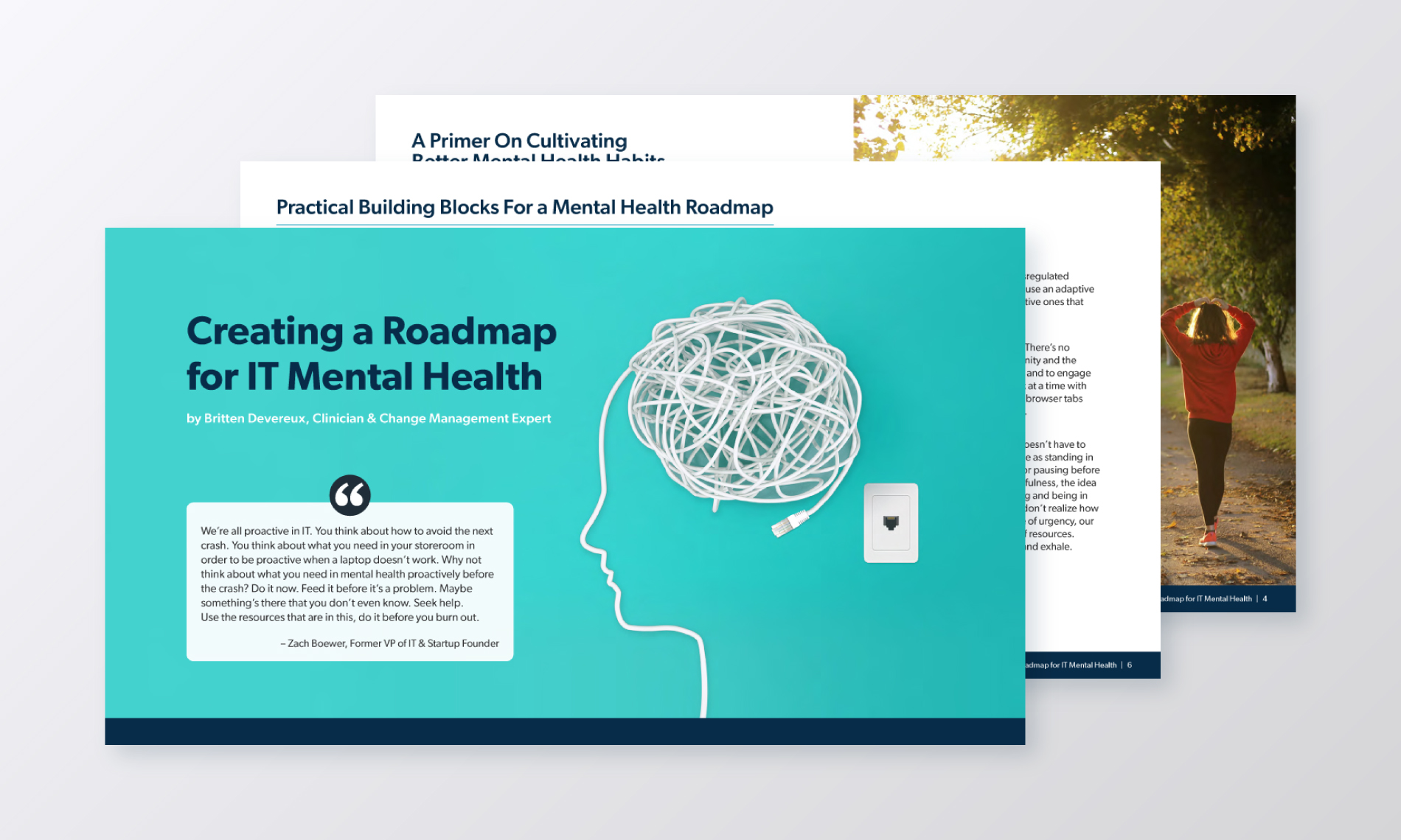 Creating a Roadmap for IT Mental Health