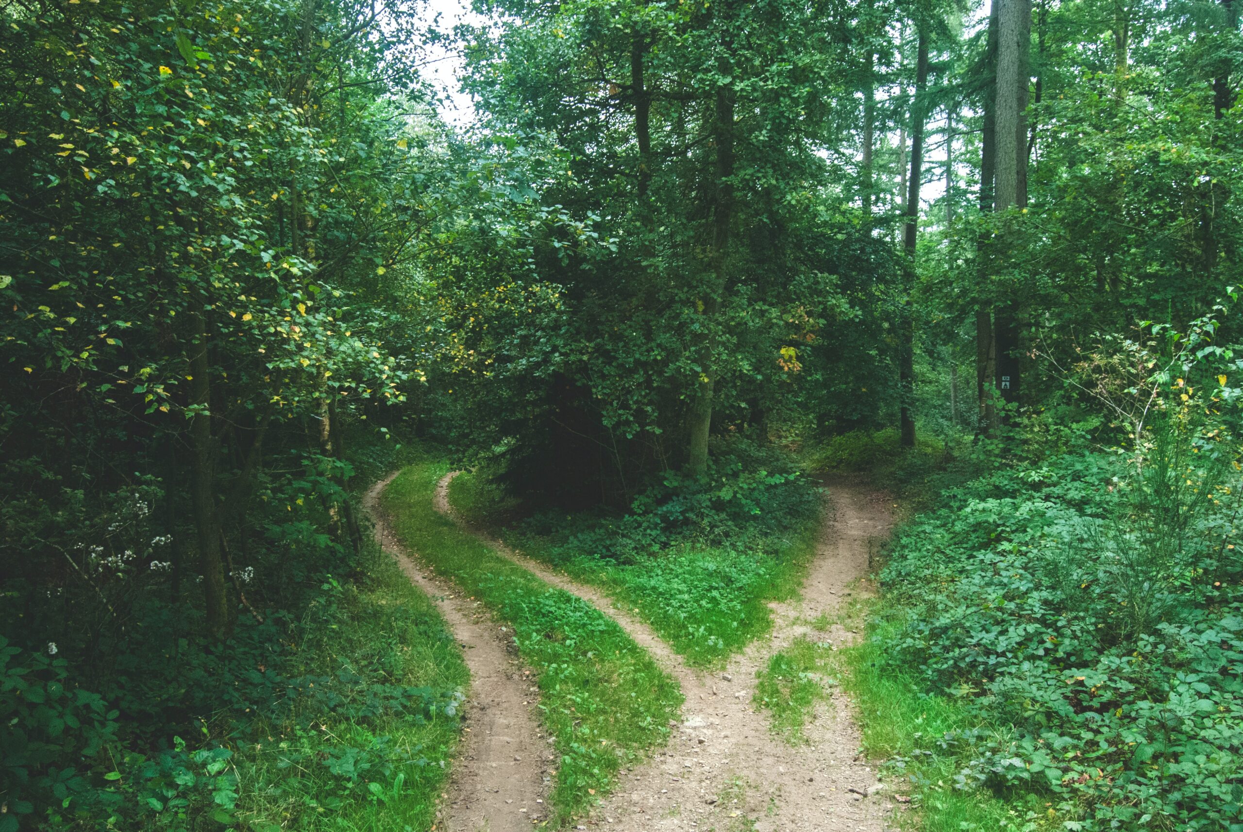 Zero Trust: Where and How to Get Started