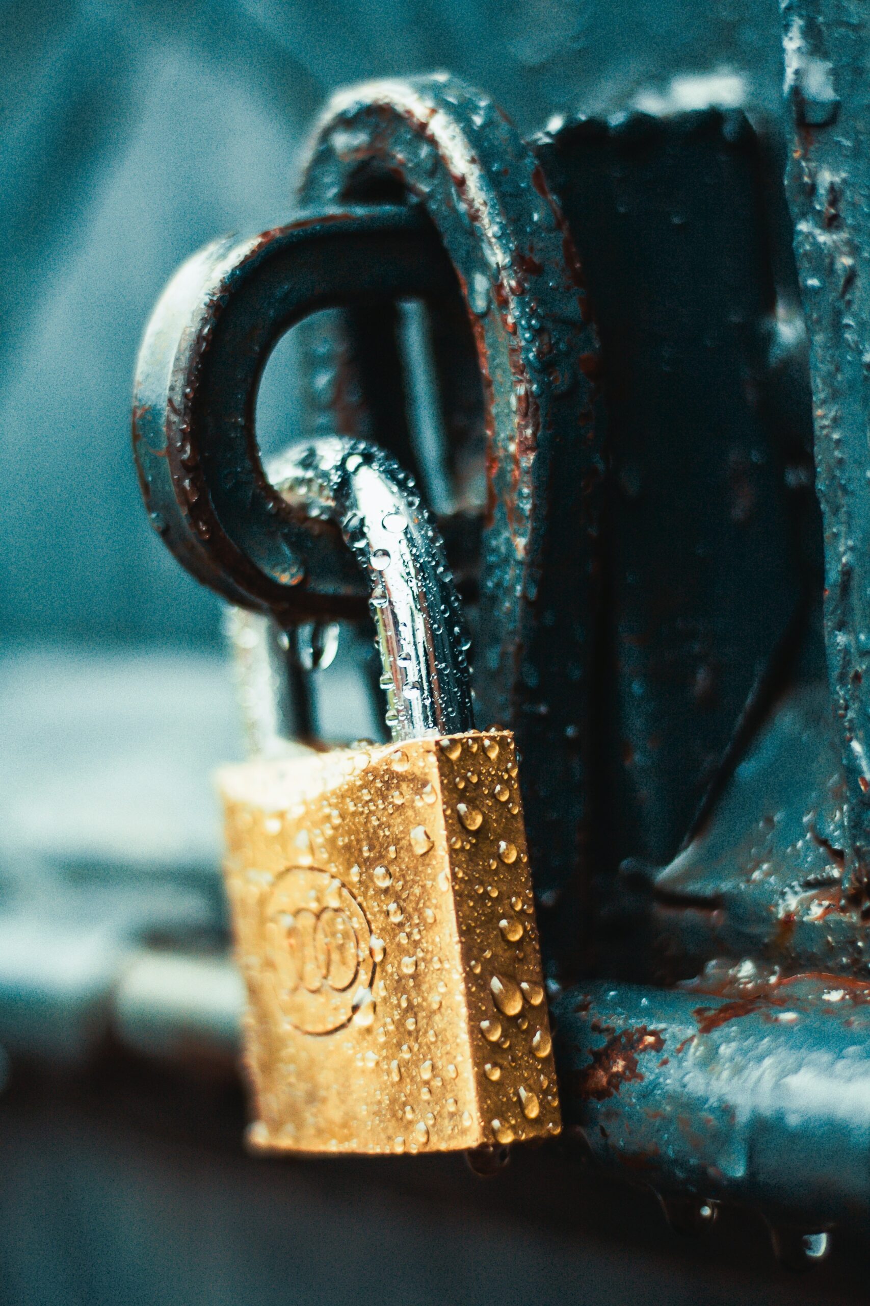 What Are CISA’s 4 Steps to Cybersecurity and Why Are They Important?