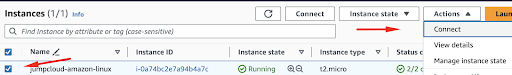 connect your amazon linux instance