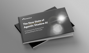 The New State of Agentic Shadow AI